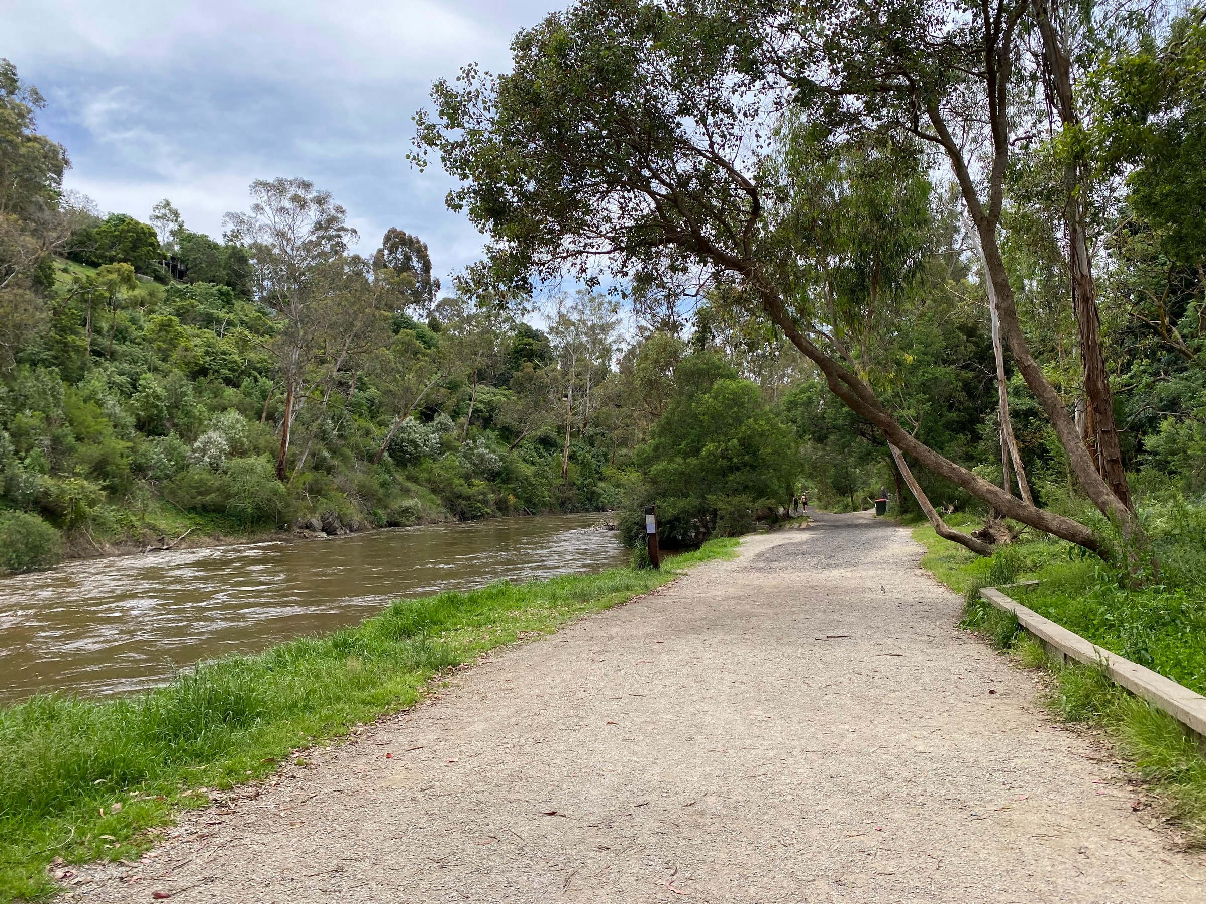 Warrandyte Park Loop