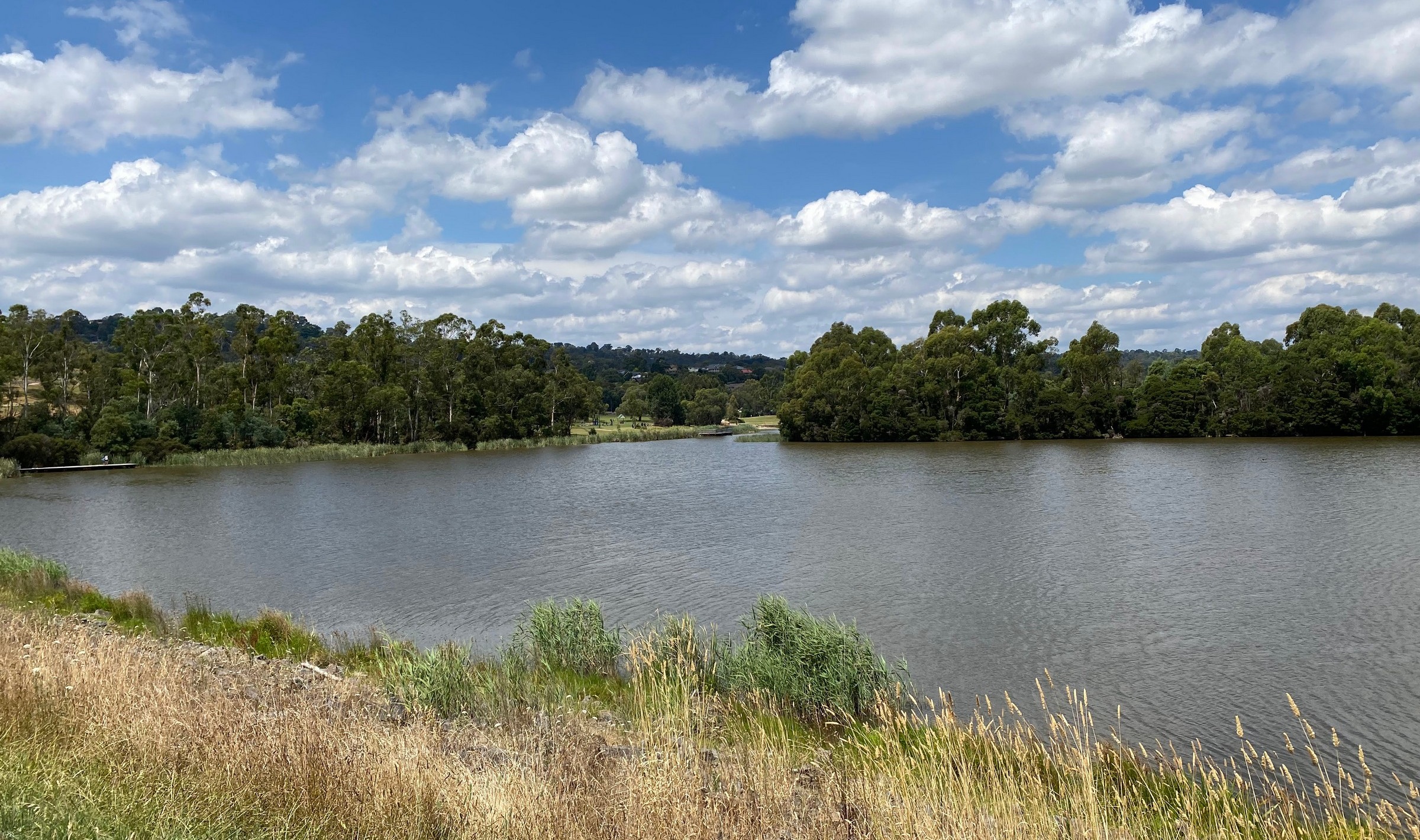 Lilydale Lake