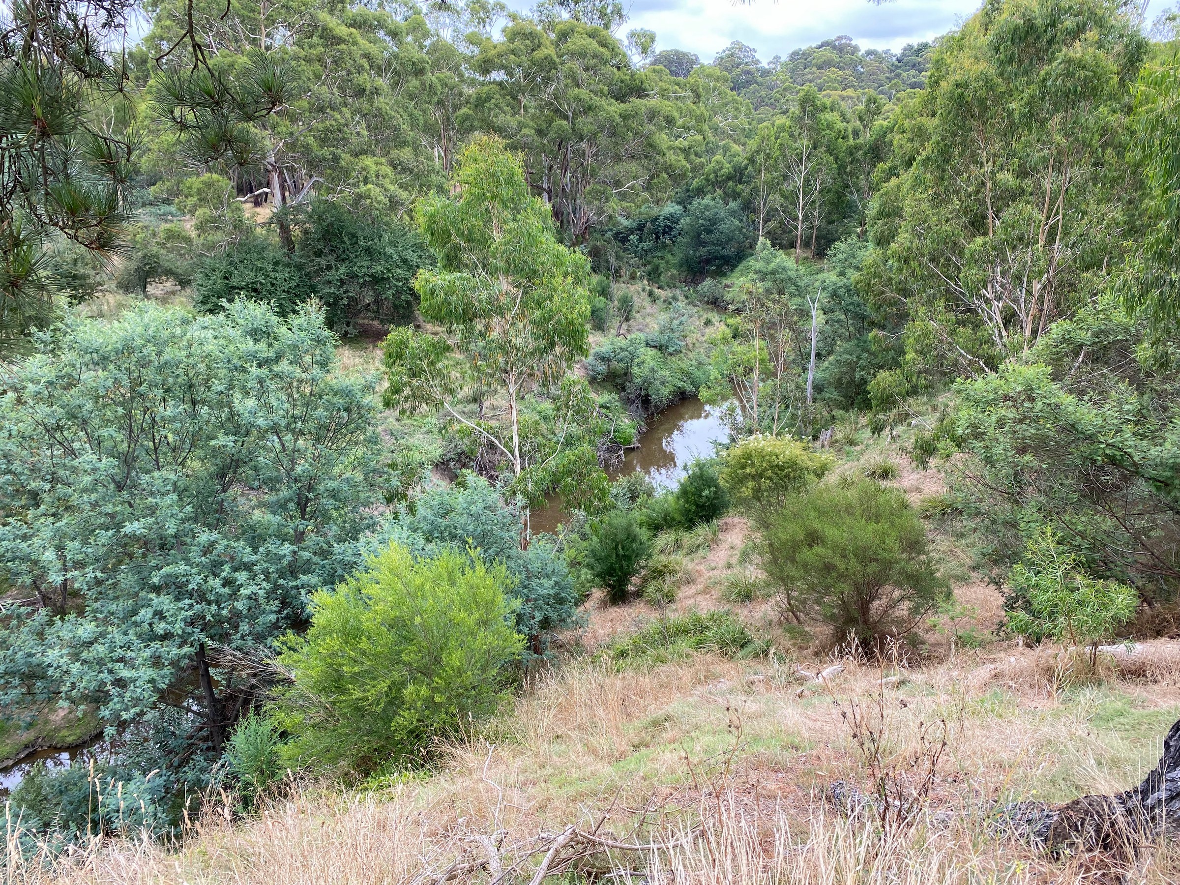 Plenty River Trail