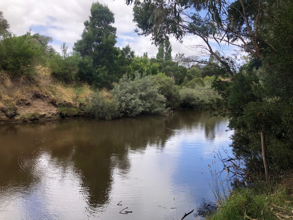 Jacksons Creek, Emu Bottom Wetlands, Sunbury