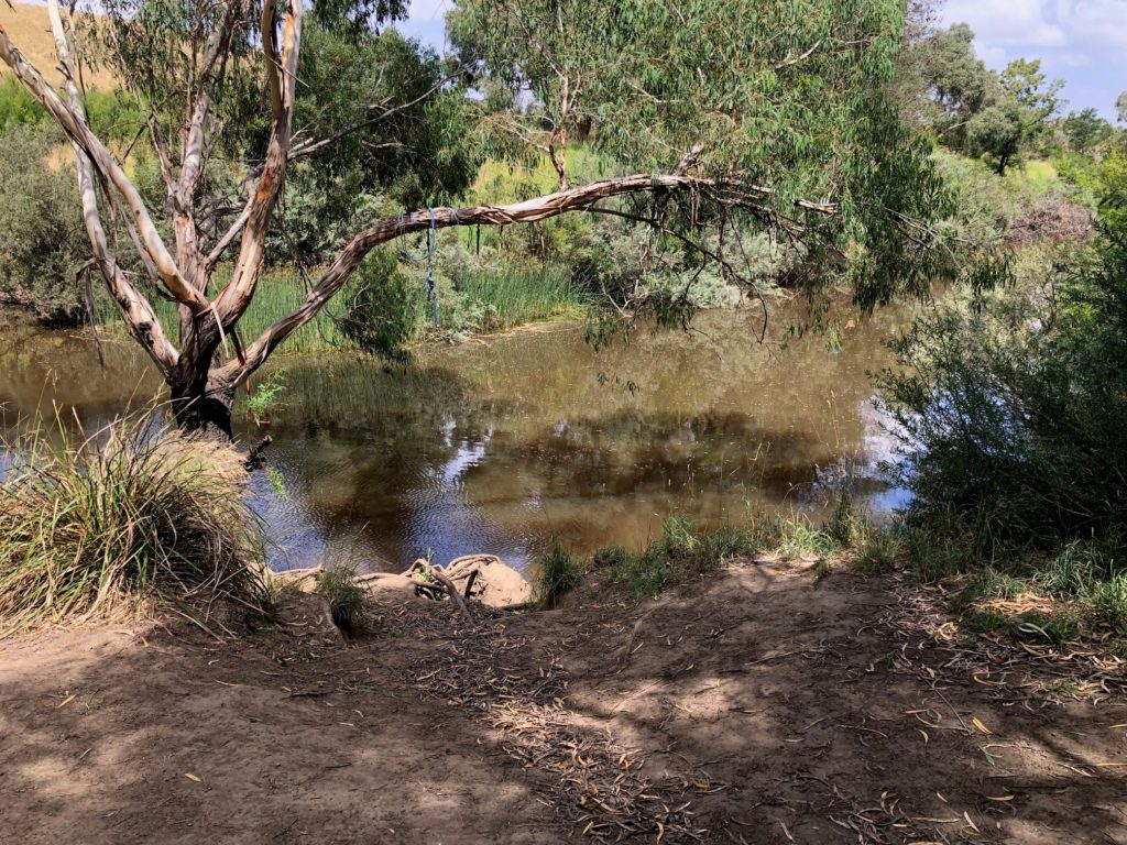 Jacksons Creek, Emu Bottom Wetlands, Sunbury