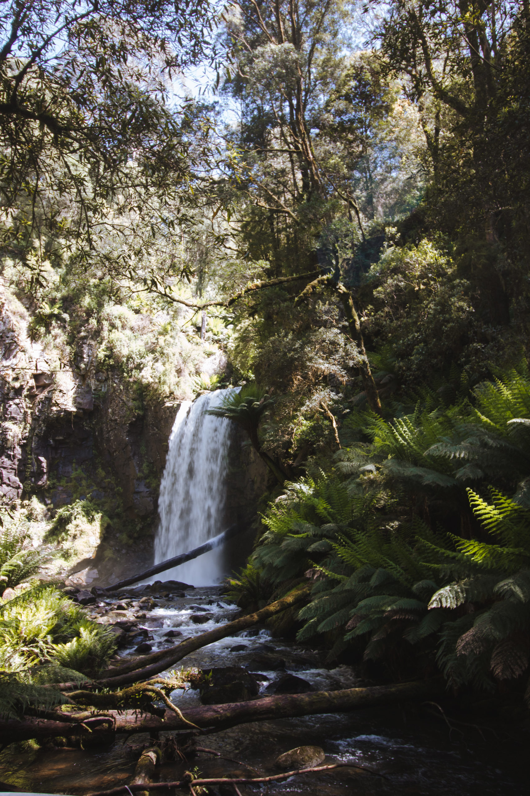 Hopetoun Falls: The Best Waterfall On the Great Ocean Road