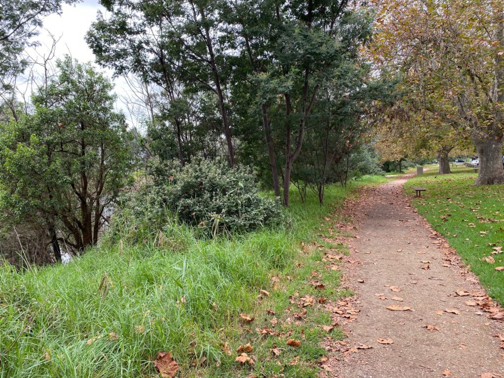 Trail and bench