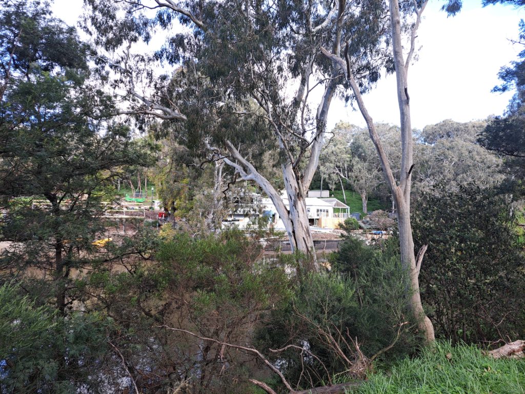 Studley Park Boathouse through the gum trees and across the river.