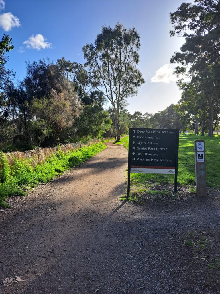 A green sign at a t-intersection of the path to point towards Dight Falls.