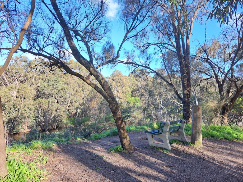 A wooden seat looking through trees onto the river along a gravel path.