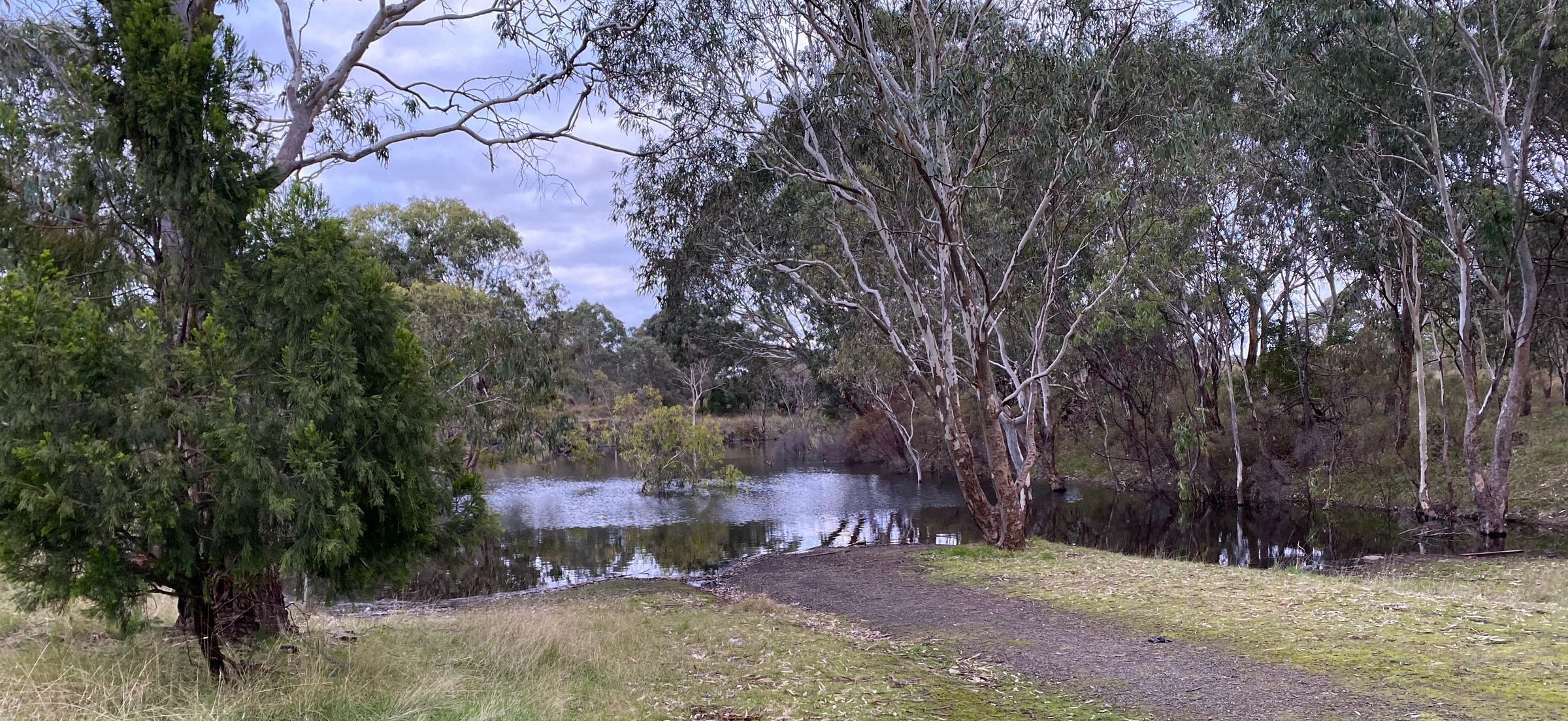 Marshland Track in Plenty Gorge Park