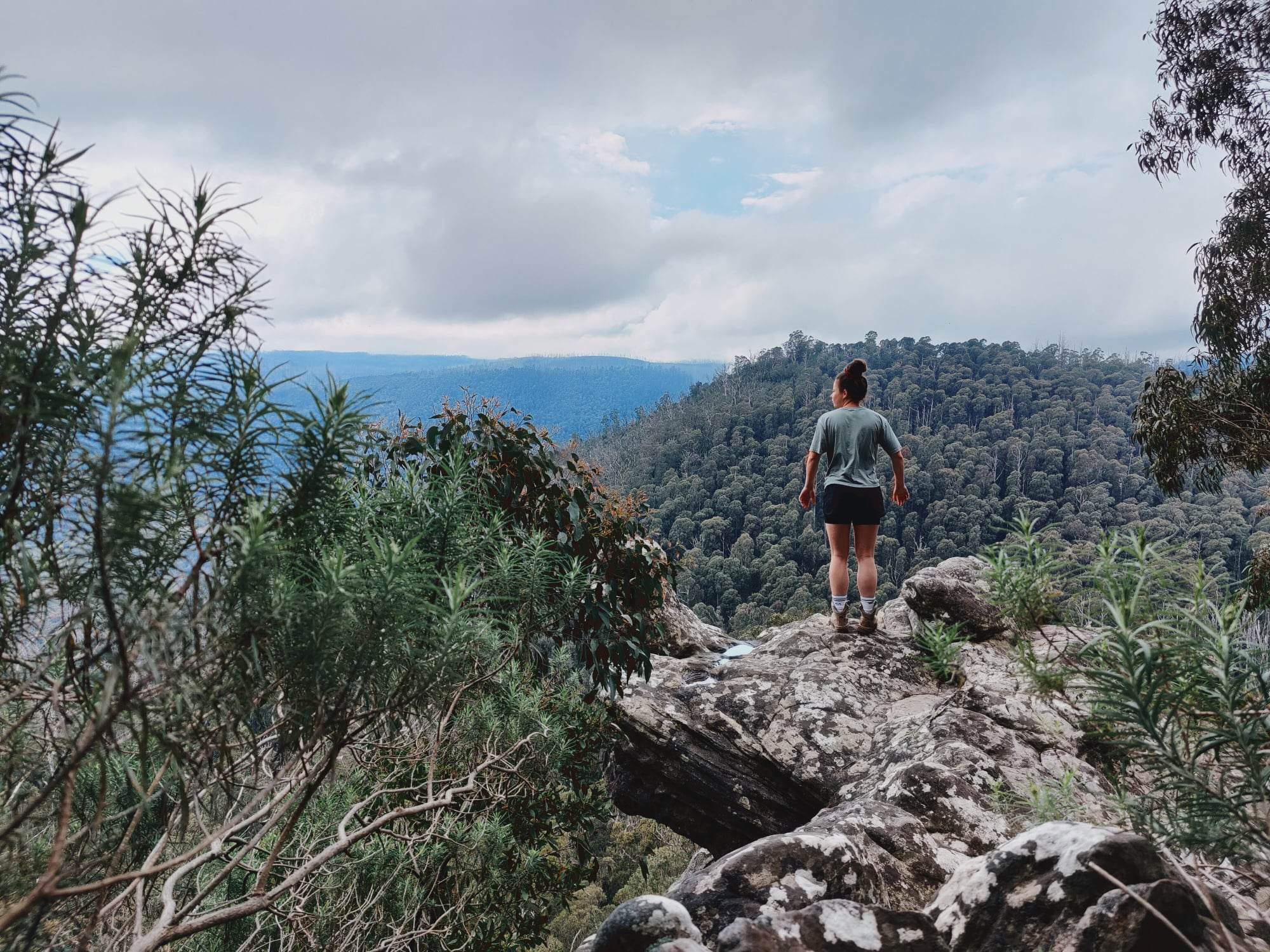 Sugarloaf Peak via Wells Cave Track and Canyon Track – A Day Walk in the Cathedral Ranges