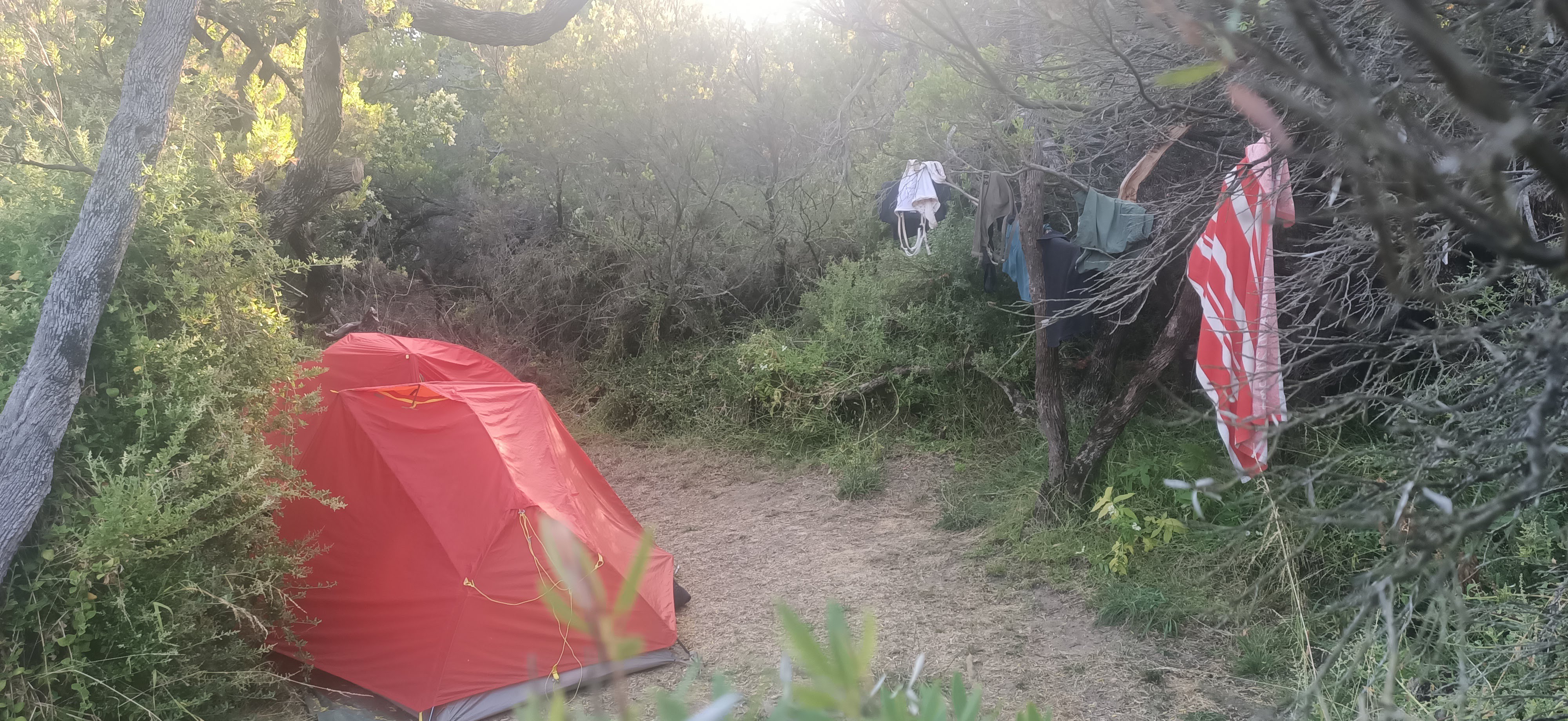 A red tent set up on sand and surrounded by hiking clothes hanging in the surrounding beach shrubs. 