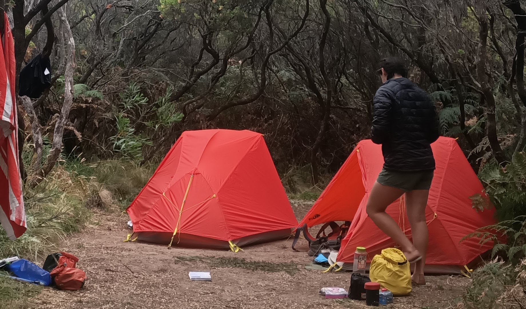 Great Ocean Walk Day 2 – Elliot Ridge to Cape Otway