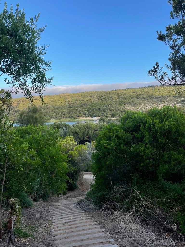 Steep set of planks leading up a sandy hill, towards the Hike-In Campsite at Aire River.