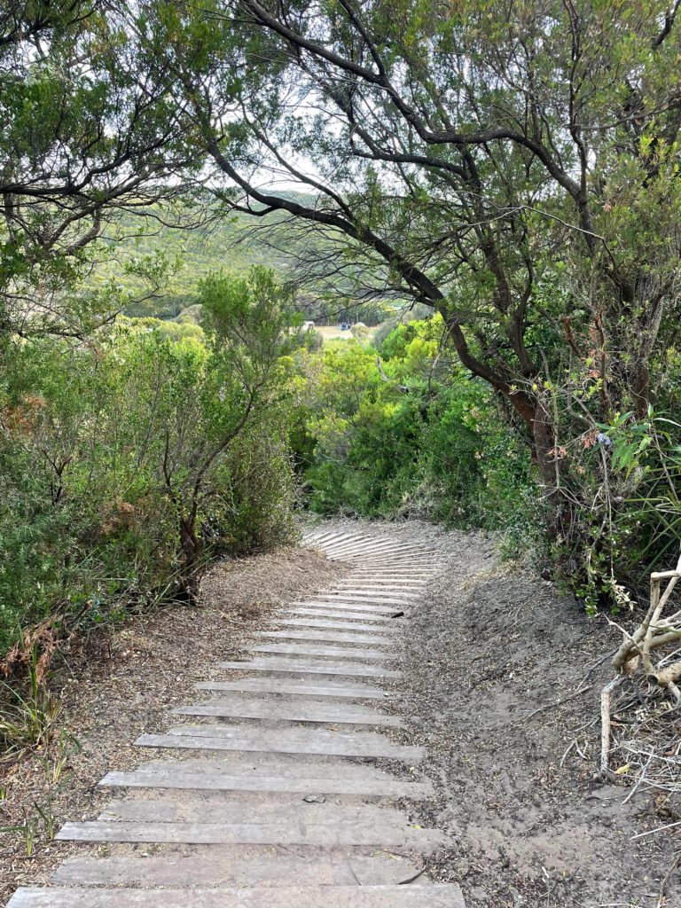 Steep set of planks leading up a sandy hill, towards the Hike-In Campsite at Aire River.