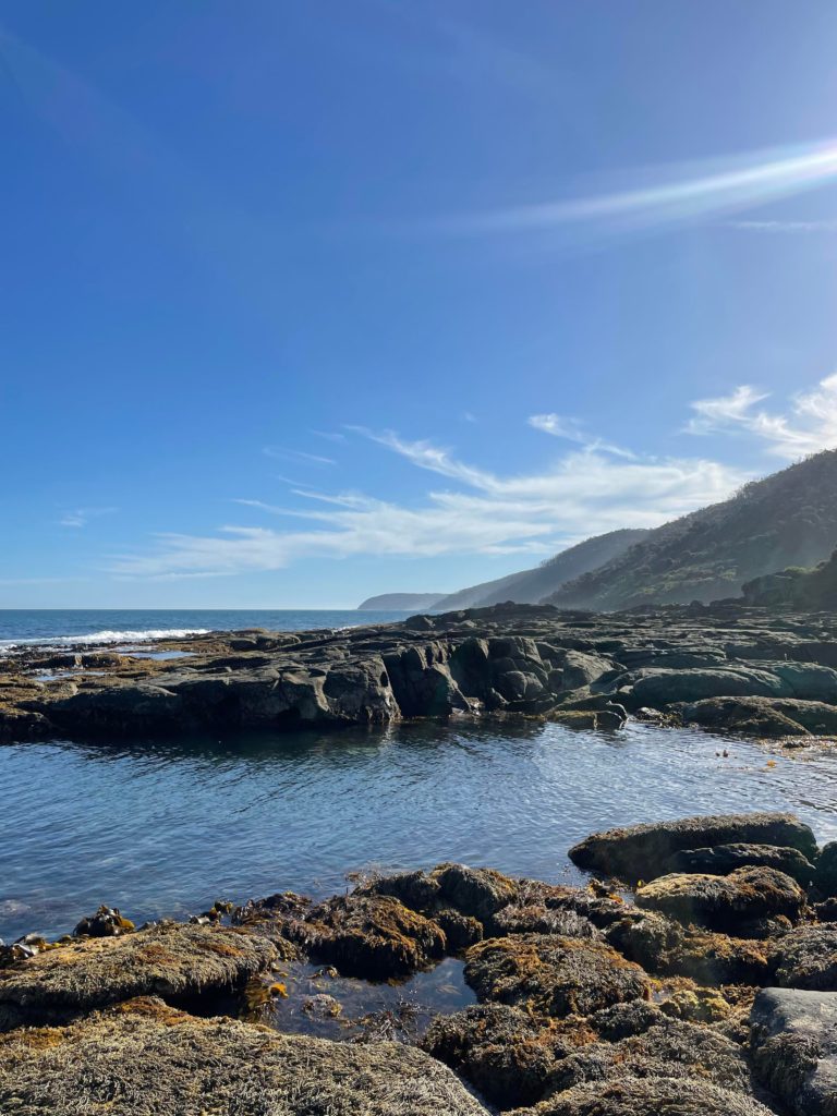 Rocks covered in seaweed in the foreground then a deep trough of sea water and more rocks behind and then in the background along the horizon a section of ocean. To the right of the photo you can see the coastal hills and cliffs. The sky is blue with thin wispy clouds hovering over the landforms.