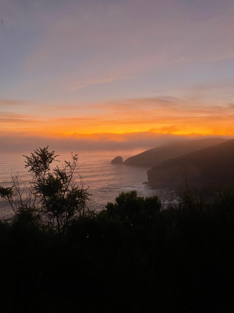 An orange sunset right before the final light with a stunning view of the ocean sky and sun starting to set over escarpments. In the foreground the silhouette of foliage. 