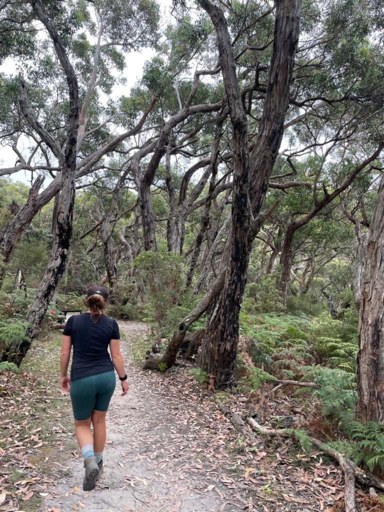 Imagine of the back of a woman walking on a dirt trial surrounded by ferns, tea trees and various australian flora.