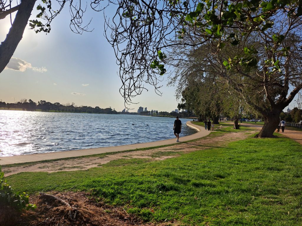 There is a panoramic view of the trail, lake and tree scape with a small amount of the city scape in the background. A branch is overhanging in the front of the photo.