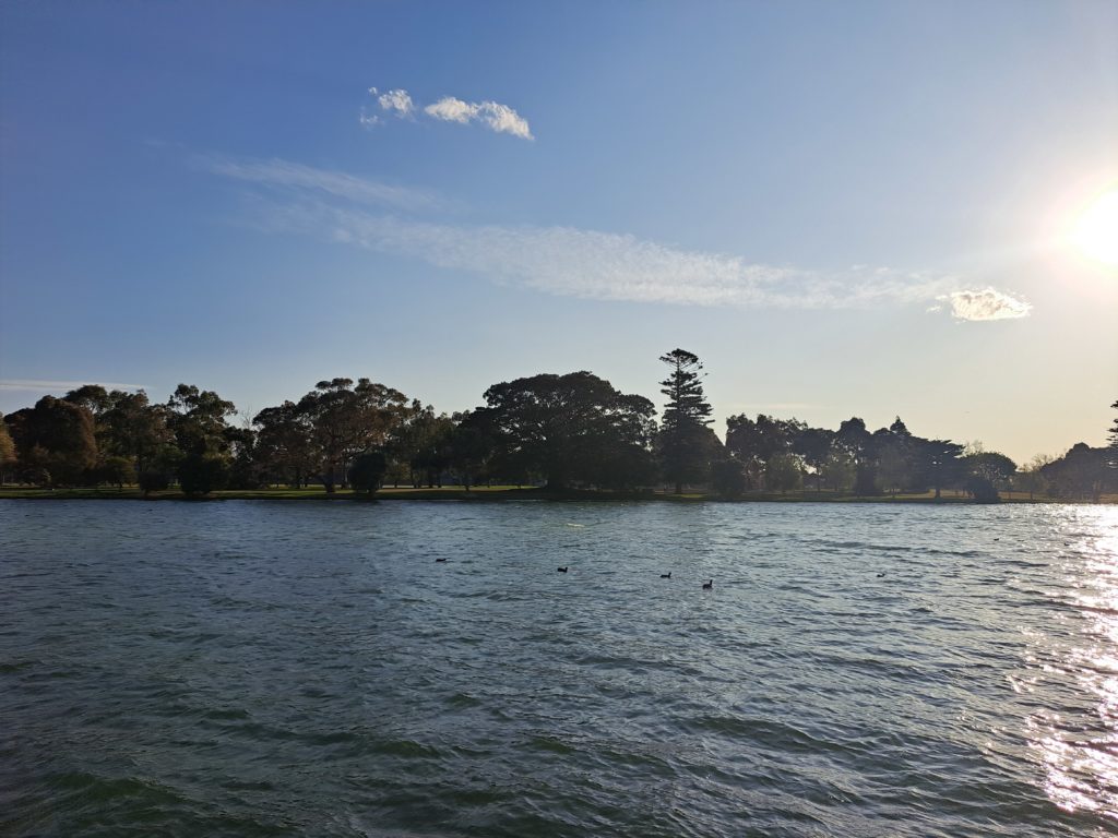 View from the eastern side of the trees along the western path.