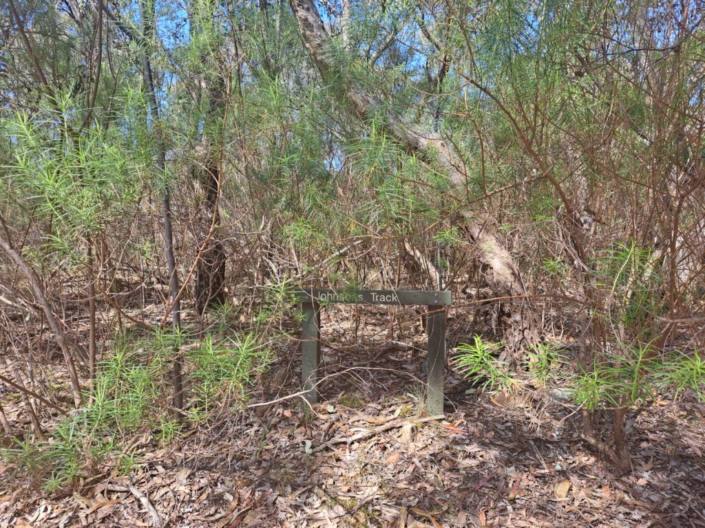 A view of the bush and a sign that says Johnson Track.