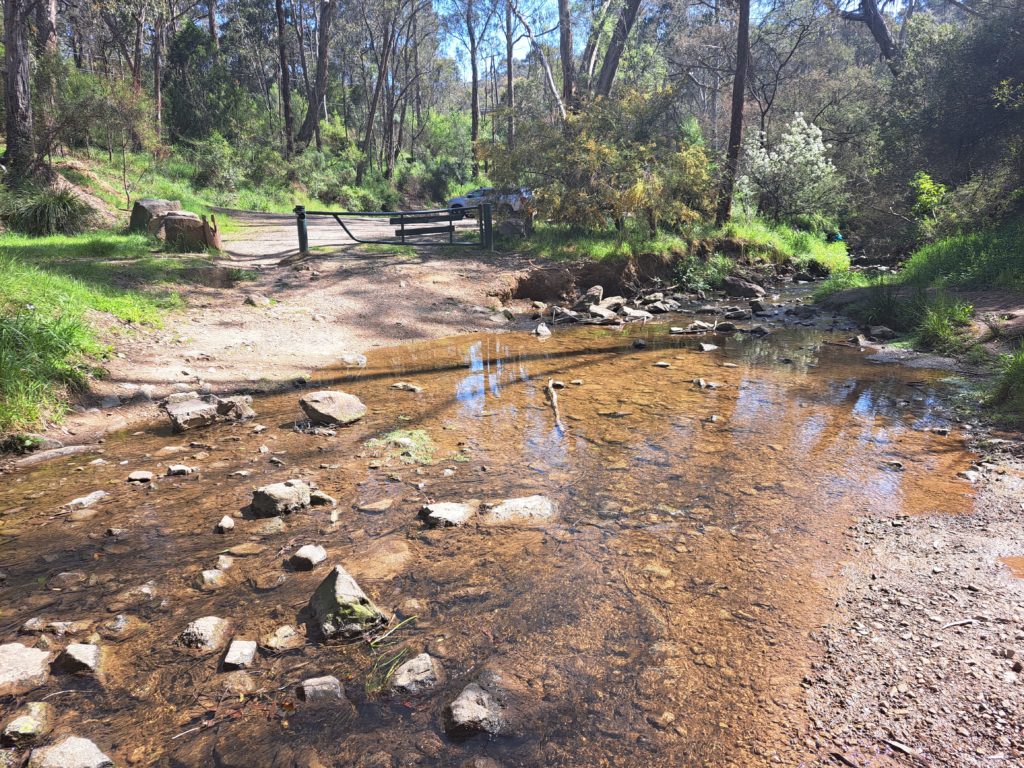 A picture of a possible foot crossing spot on the Anderson Creek. It is shallow and still.