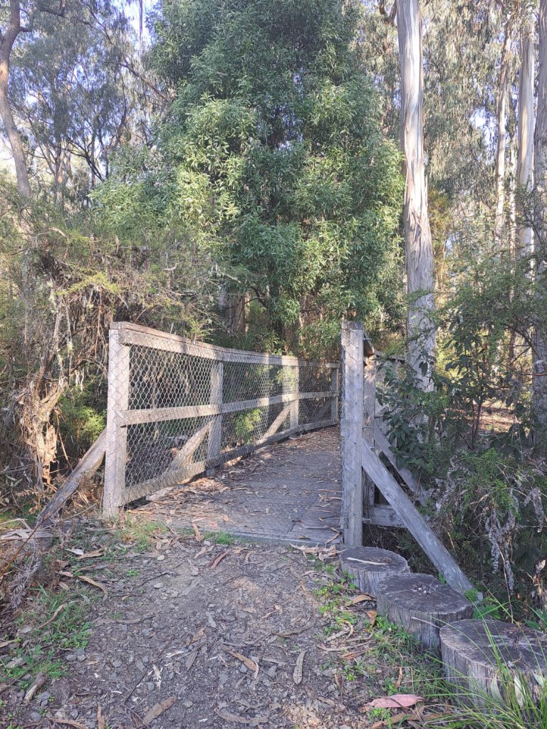 View of a wooden, chicken wire bridge with tall trees surrounding it.