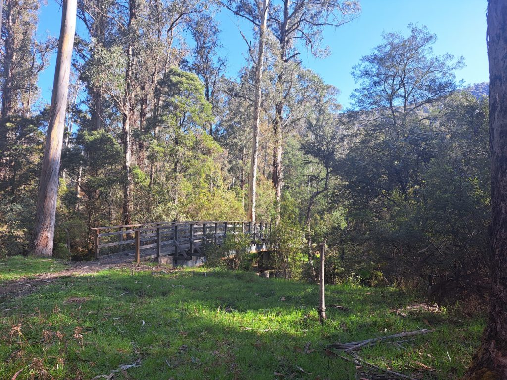 A beautiful trestle bridge with green grass in the foreground. Many tall trees surrounding it before the grassy bank disappears into the river.