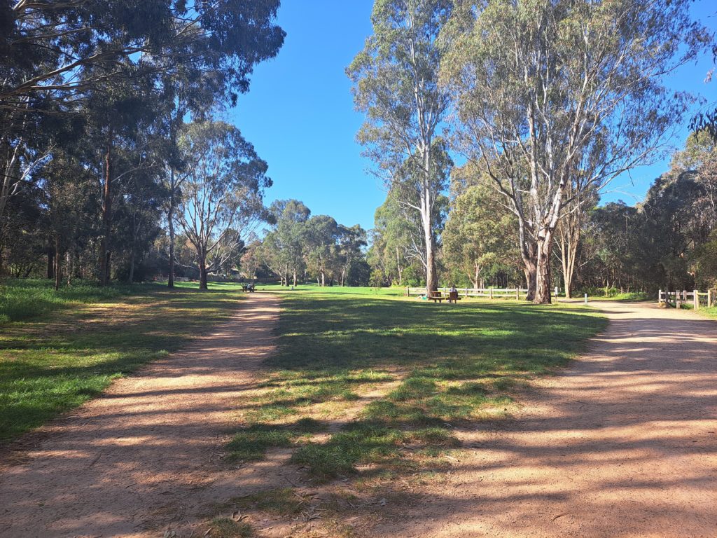 Two gravel pathways merging in the foreground. There is an open space of grass from the trees in the background which is the off leash dog park.