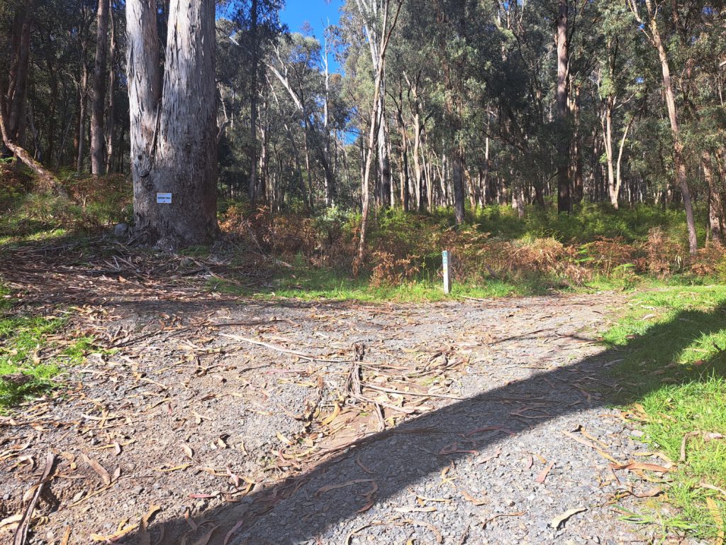 An intersection on a hill with undergrowth and trees in the back ground.