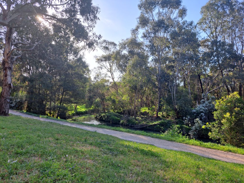 Grass in the foreground with a gravel path passing through and on the other side the land dips into the creek with many trees and shrubs on the other side of the creek. The sun is shining through.