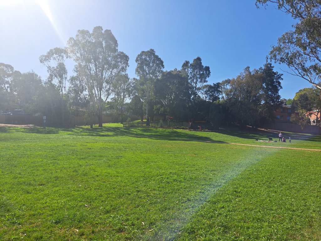 An open grassy field with a playground in the background shaded by some trees.