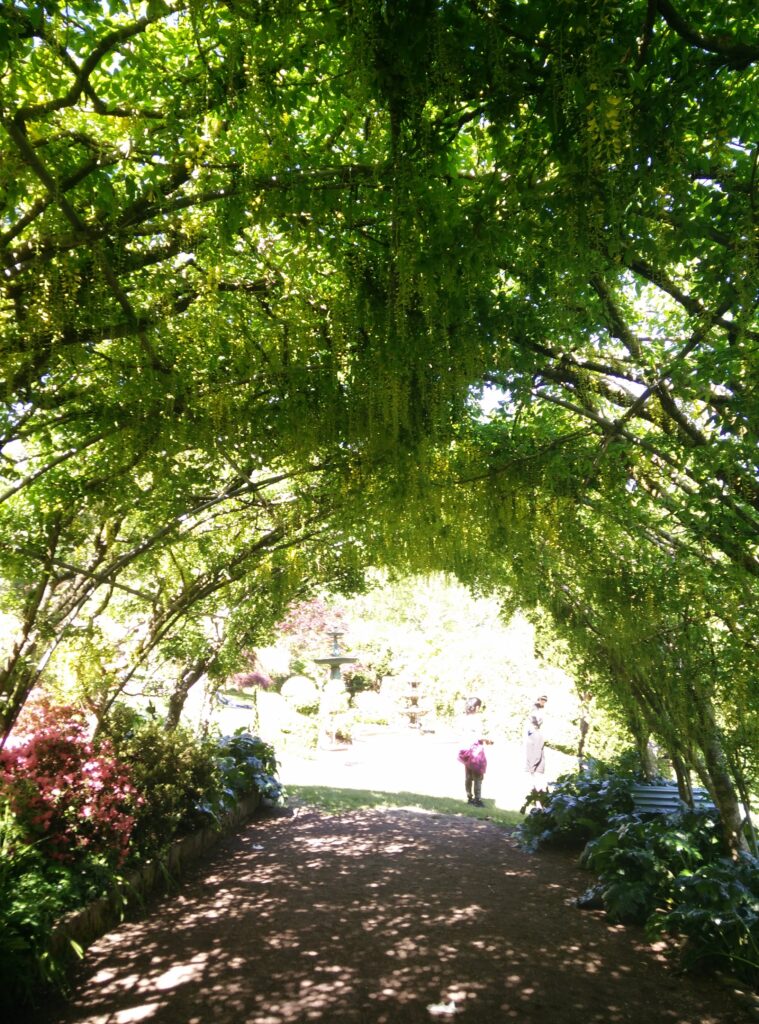 Decorative canopy at the Forest Glade gardens