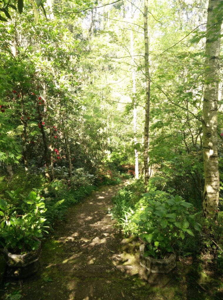 Path inside Forest Glade gardens