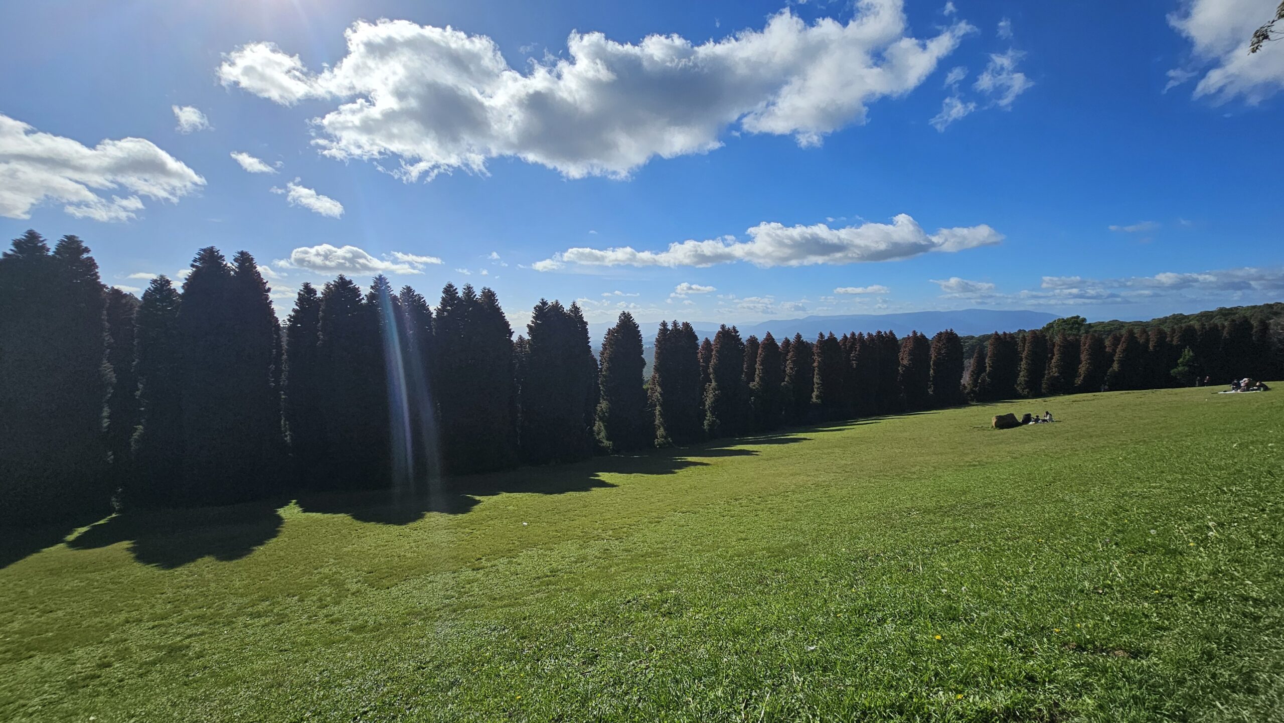 Woolrich Lookout, Olinda Victoria