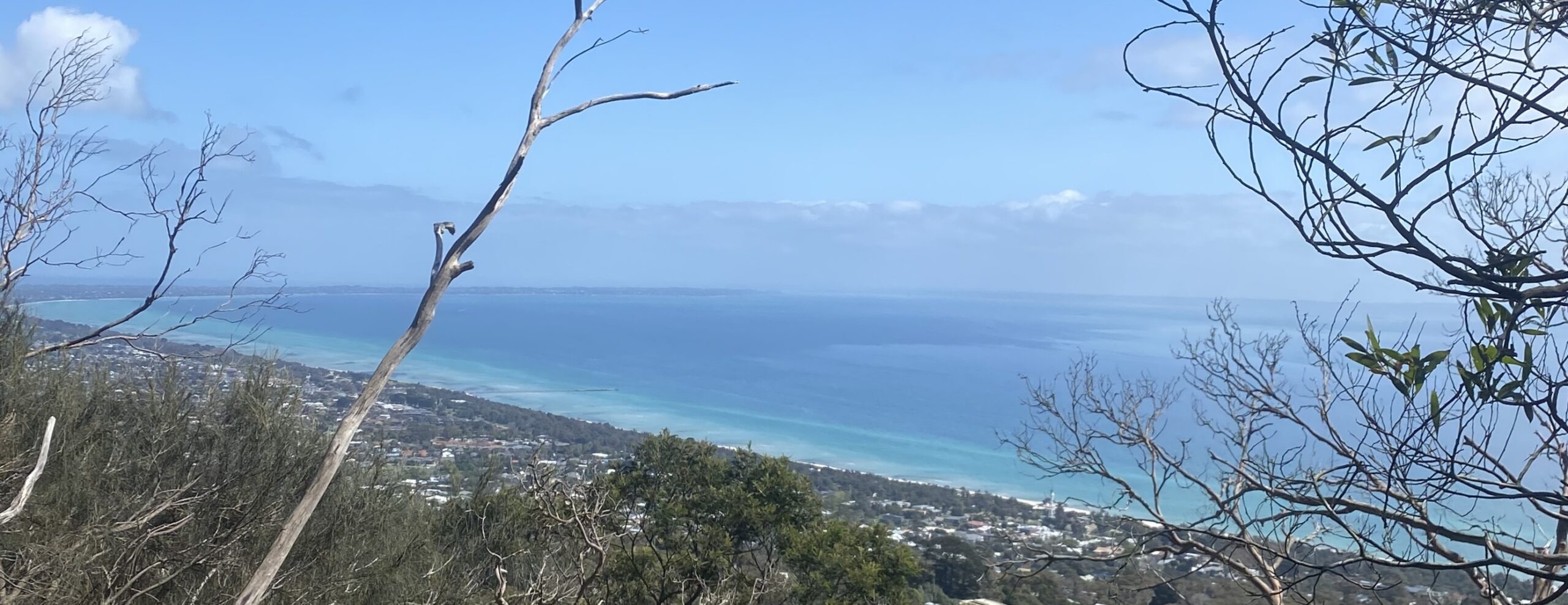 Two Bays walking track –  Arthurs Seat to Cape Shank